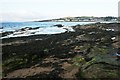 Rocks at west end of Portmahomack Bay