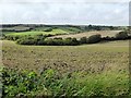 Farmland near Tregaire Barton Farm