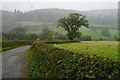 Lane towards Branas Lodge