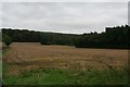 Elsham Hill from Elsham Road, Worlaby