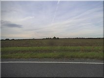 TL2745 : Field by Potton Road, Guilden Morden by David Howard