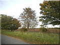 TL2742 : Ashwell Road towards Guilden Morden by David Howard