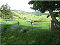 J1409 : Double gates leading to improved pasture above the Little River valley by Eric Jones