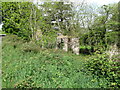 J1409 : Overgrown garden of a roofless house on the Piedmont-Upper Jenkinstown road by Eric Jones