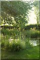 SO9841 : Pond, Elmley Castle by Derek Harper