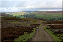 SD9895 : Track on Whitaside Moor by Chris Heaton