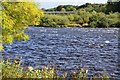 The Tweed at Kelso