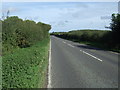 A1065, East Raynham