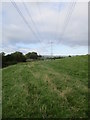 Footpath  toward  Thirsk  alongside  Cod  Beck