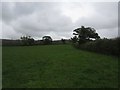 Footpath through field near Storridge Farm