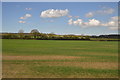 ST5429 : Somerset field by N Chadwick