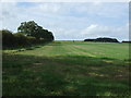 Farmland west of Fakenham Road