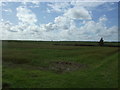 Crop field off Warham Road