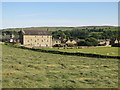 Fields above Town End (2)