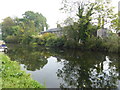 Cottages seen across the River Lee Navigation