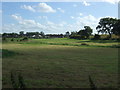 Silage field towards Northgate Hall Farm