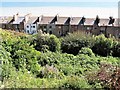 Rear of houses in Marina seen from West Hill Road