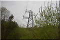 Pylon in the East Looe Valley