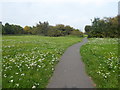 Path across Aylands Open Space