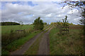 Bridleway north from Sparrowhall bridge