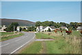 NJ4926 : Cows grazing at the southern edge of Rhynie village by Bill Harrison