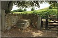 Mounting block, Higher Staplehill