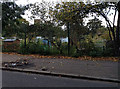 Allotments on Northfield Avenue