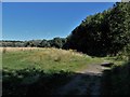 Eastwood Farm open space Bristol