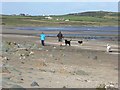 O1682 : Dog walkers on the beach at Ganderstown by Oliver Dixon
