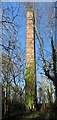 SN5005 : Chimney at former Horeb Brickworks by Nigel Davies