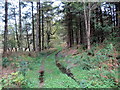 Llwybr ceffyl Pen y Rhos / Pen y Rhos bridleway