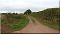 Track to Glebe Farm