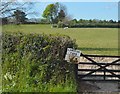 Pasture, Longcoe Farm