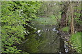 Little Ouse tributary