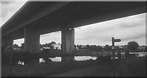 SX9588 : M5 viaduct crossing Exeter Canal, 2000 by Derek Harper