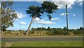 Aldeburgh: looking across Leiston Road from the Linden Road bus-stop