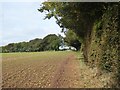 Path to Cadbury Castle