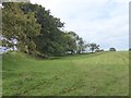 Curved wall of Cadbury Castle hill fort