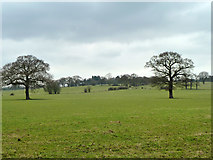 TQ2393 : Fields south of Totteridge Common by Robin Webster