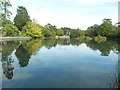 Brynmill Lake, Brynmill Park, Swansea