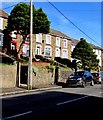 Trees above Howard Street, Clydach Vale