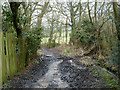 Footpath from Totteridge to Mill Hill