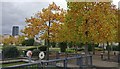 Autumn colours at Freemans Meadow