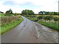 Road near Hillside of Row