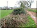 Back Lane, Colaton Raleigh