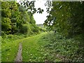 Footpath in an old quarry