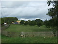 Grazing near Chartley Hall