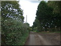 Muddy lane near Plough Farm