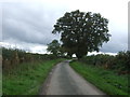 Minor road towards Woodcock Heath