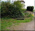 Wooden bench alongside Springfield Road, Lydney